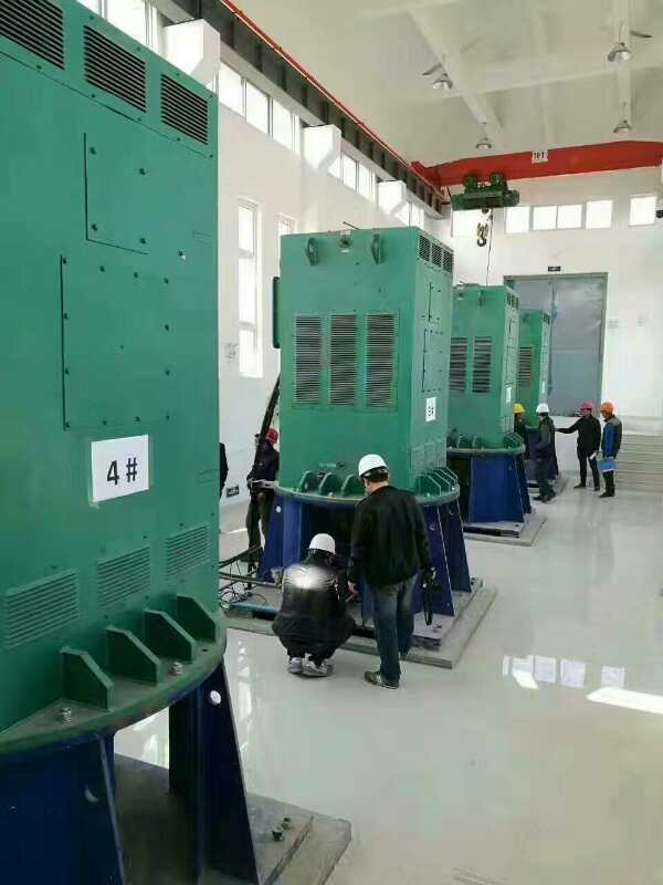 YKK710-8某污水处理厂使用我厂的立式高压电机安装现场